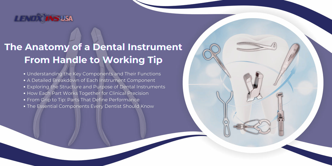 The Anatomy of a Dental Instrument: From Handle to Working Tip