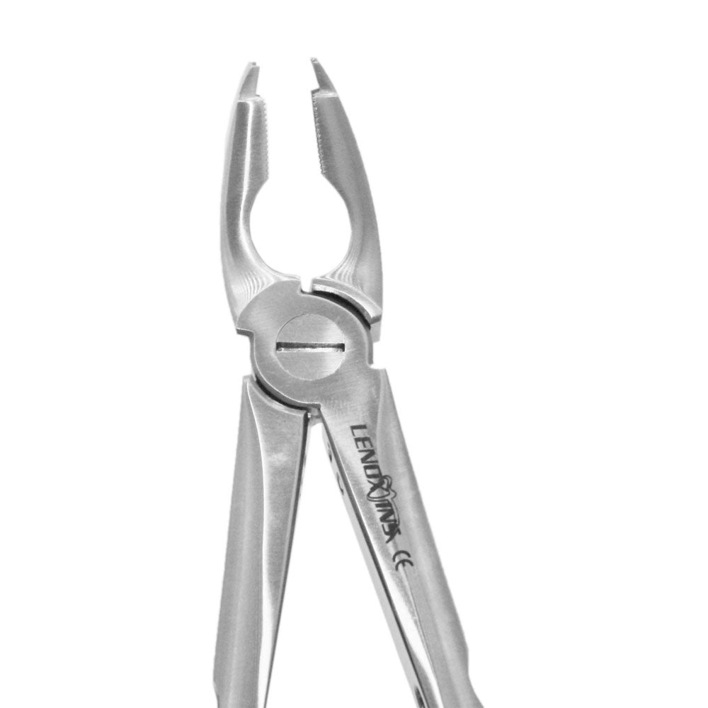 Extracting Forceps Fig. 35 Upper Premolars