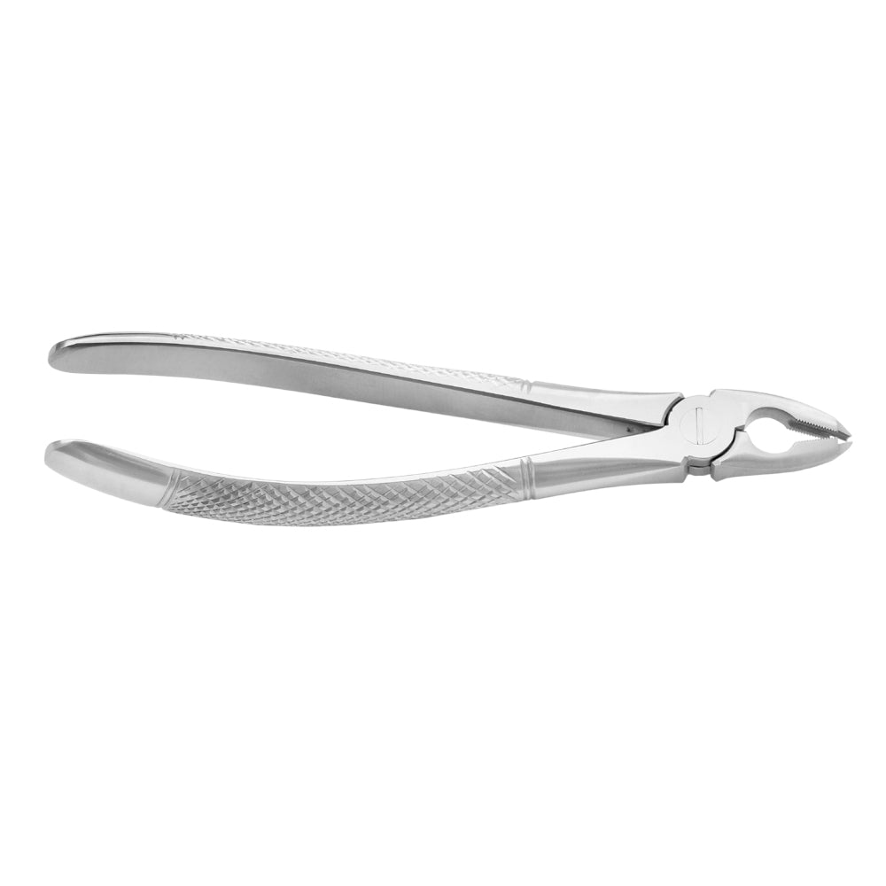 Deep Gripping Forceps # 35 Upper Permolars Deep-gripping