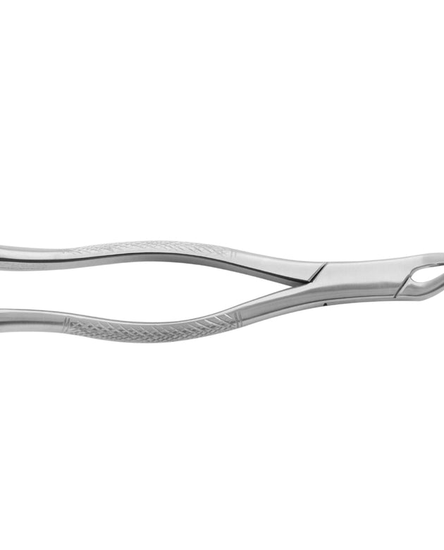 Extracting Forceps Fig. 62 incisors, premolars, deciduous teeth