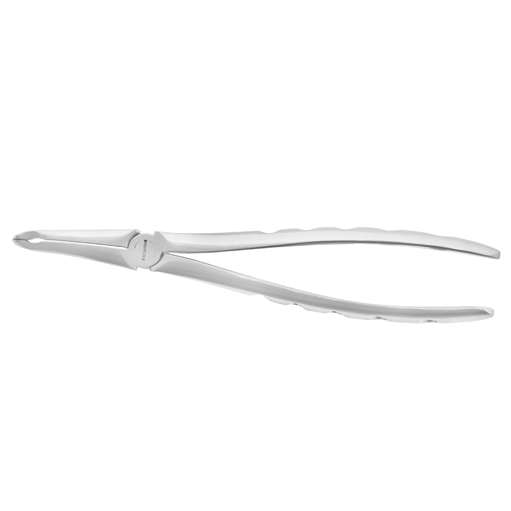 Dental Extracting Forceps Upper Roots Fig 44, Micro Serrated Edges