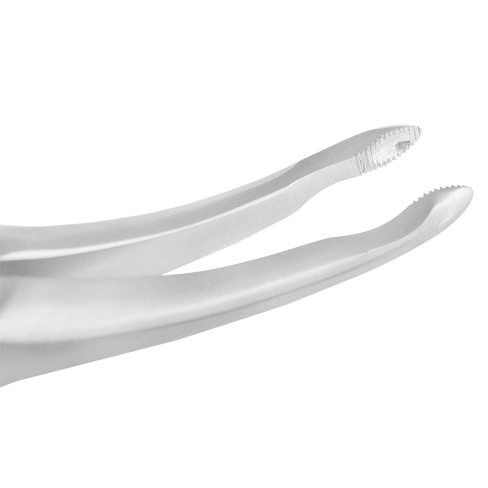 Dental Extracting Forceps Upper Roots Fig 44, Micro Serrated Edges