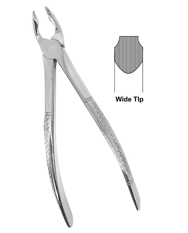 Deep Gripping Forceps # 35A Upper Incisors and Permolars Deep-gripping