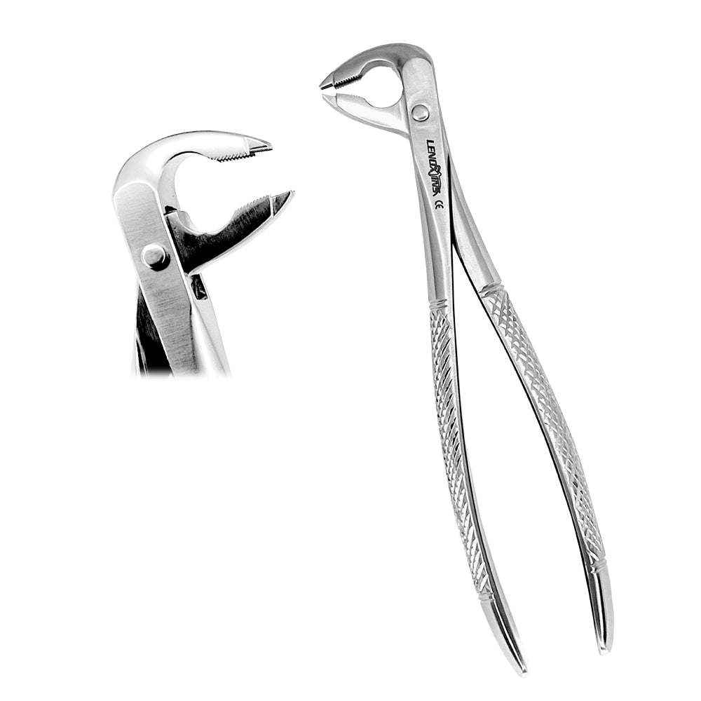 Deep Gripping Forceps # 336 Lower Premolars Deep-gripping