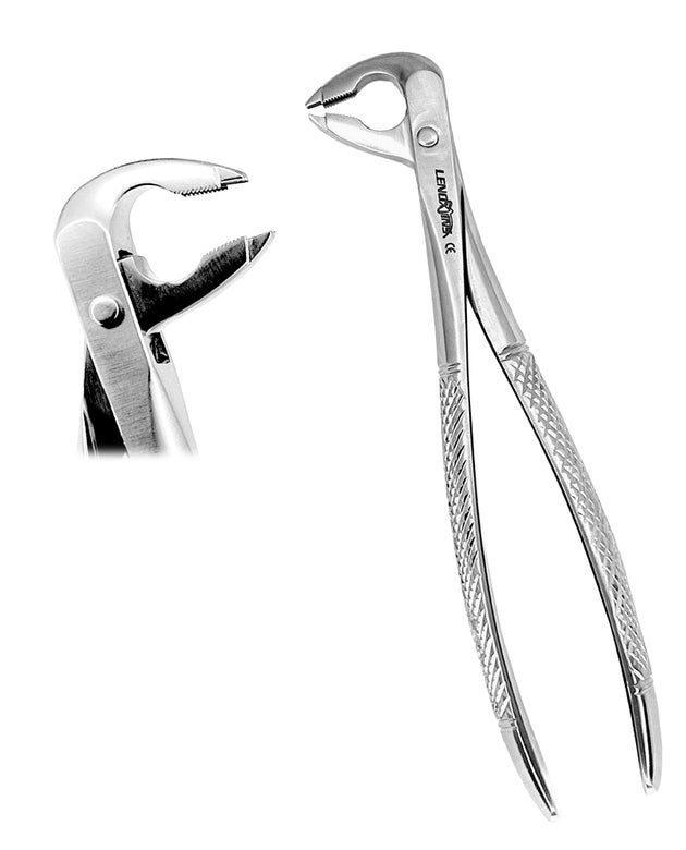 Deep Gripping Forceps # 336 Lower Premolars Deep-gripping