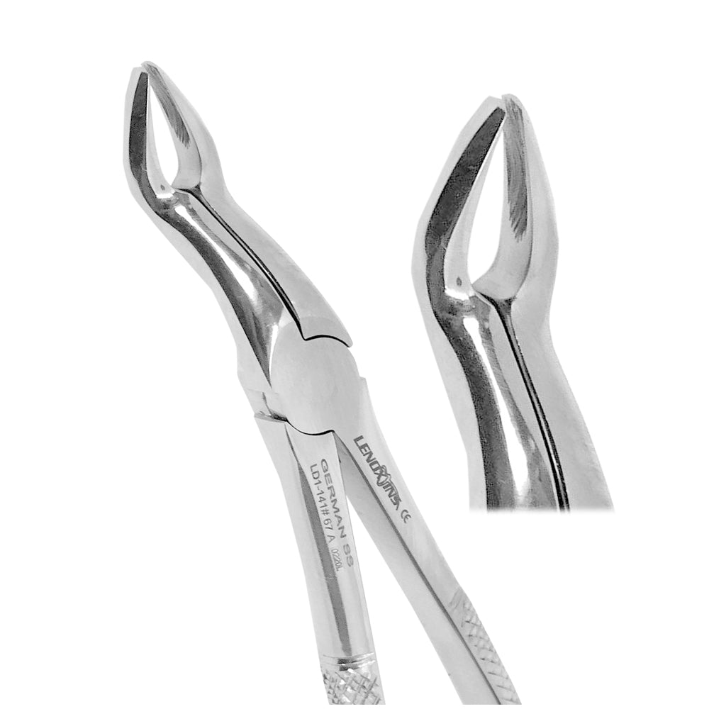 Deep Gripping Forceps # 67A Upper Third Molars