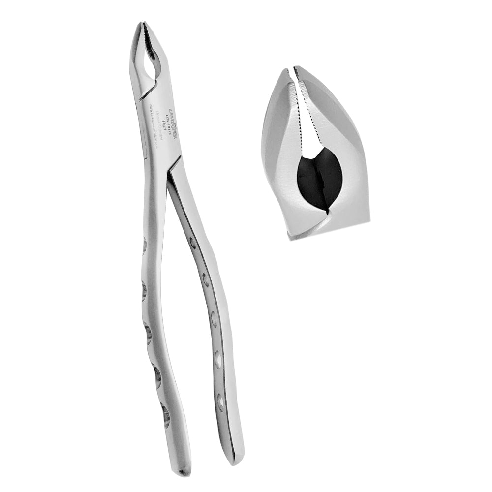 Extracting Forceps Fig. 1 Upper Anterior