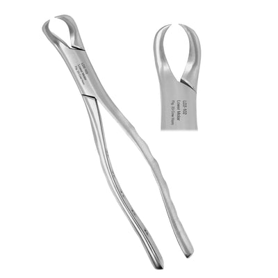 Dental Surgical