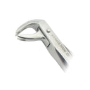 Extracting Forcep Fig 169