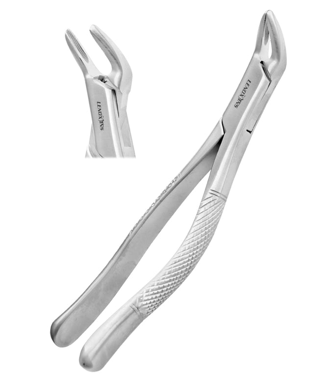 APICAL LOWER UNIVARSAL FORCEP FIG 151