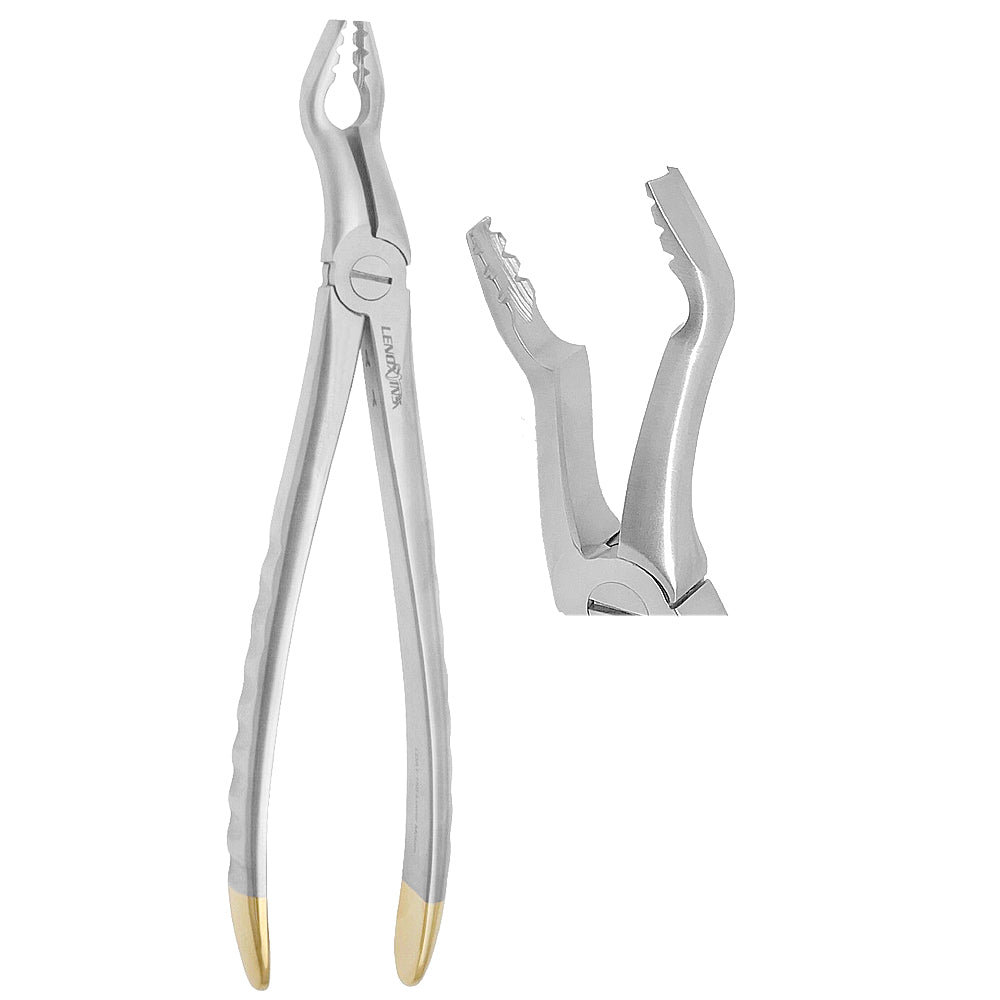 Deep Gripping Atraumatic Universal Extraction Forceps Upper Molars