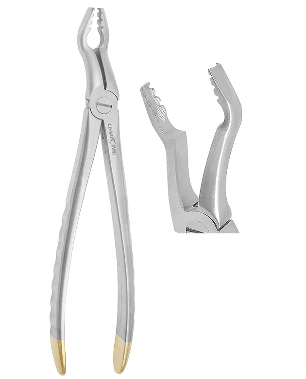 Deep Gripping Atraumatic Universal Extraction Forceps Upper Molars