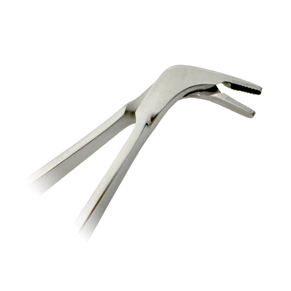 5H Style - Matrix Band Holding Forceps, Sectional Hold Matrix Inserting Forceps With TC