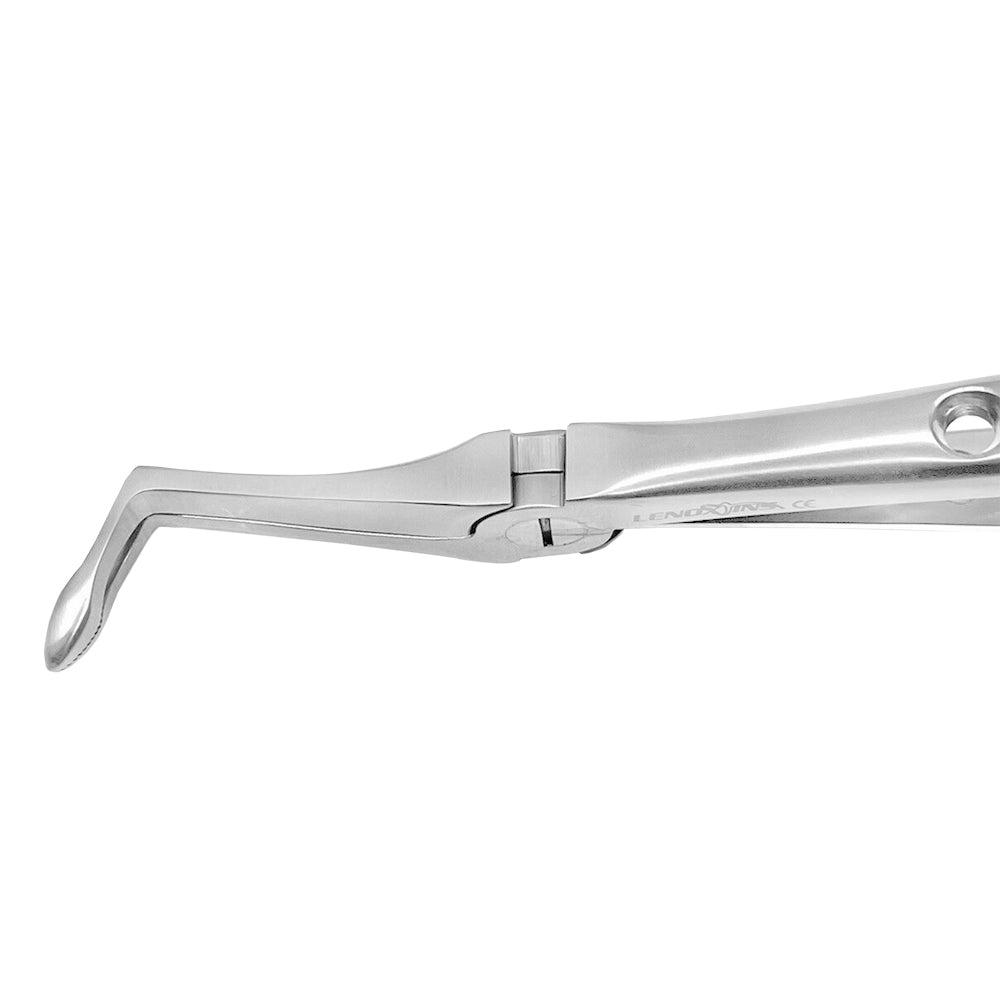 Dental Extracting Forceps Lower Roots, Micro Serrated Edges