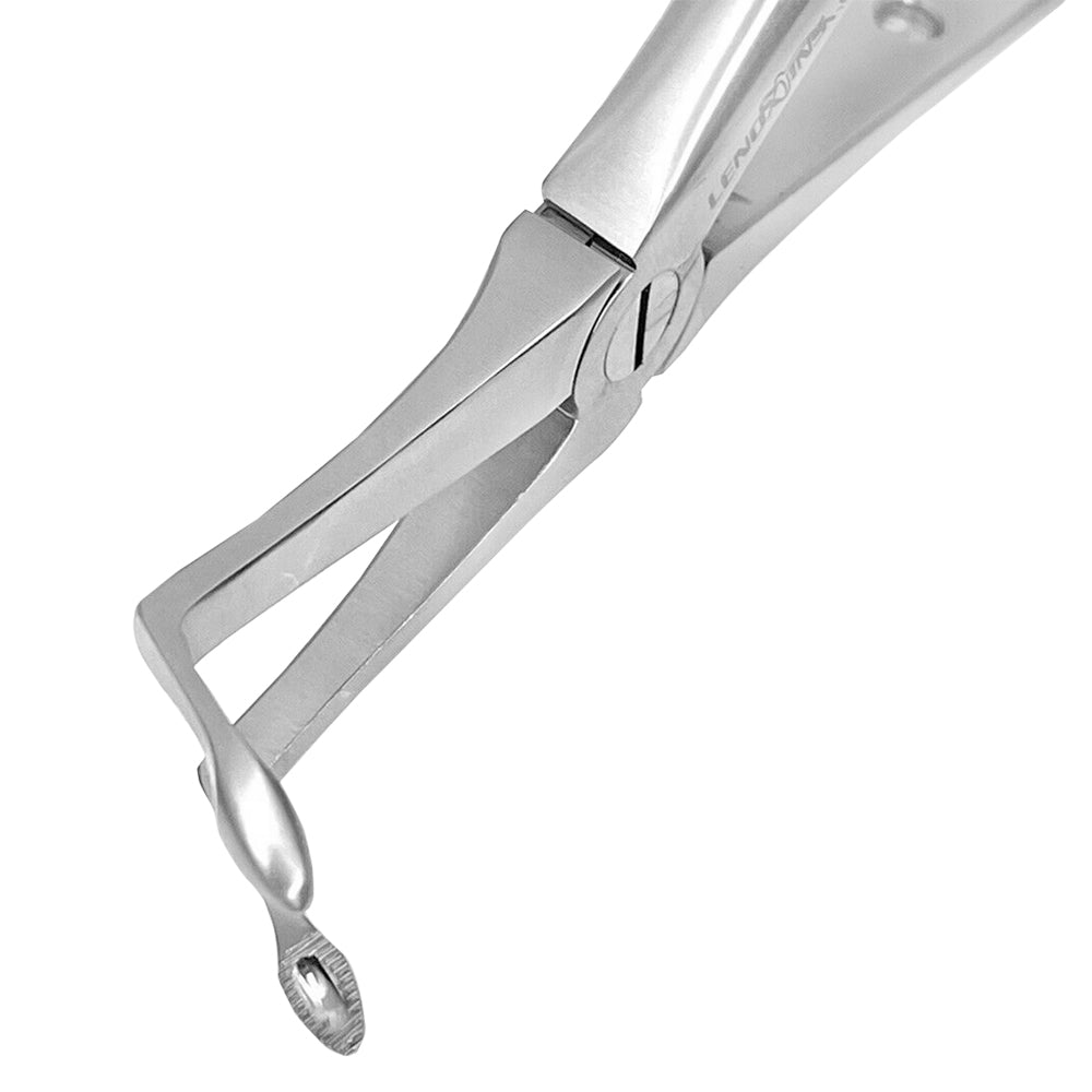 Dental Extracting Forceps Lower Roots, Micro Serrated Edges