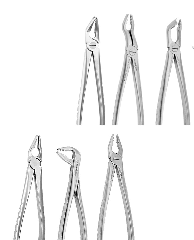 Universal Atraumatic Extraction Forceps + Elevators Set