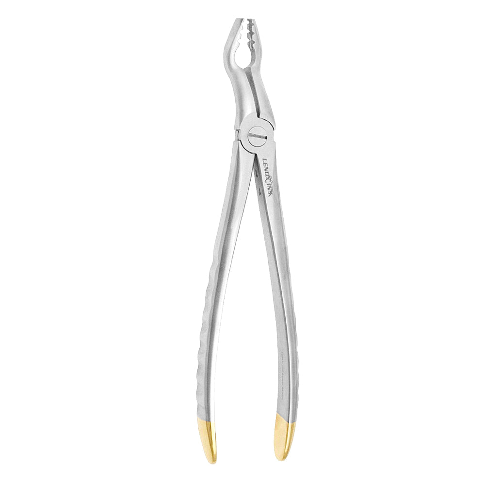 Deep Gripping Atraumatic Universal Extraction Forceps Upper Molars